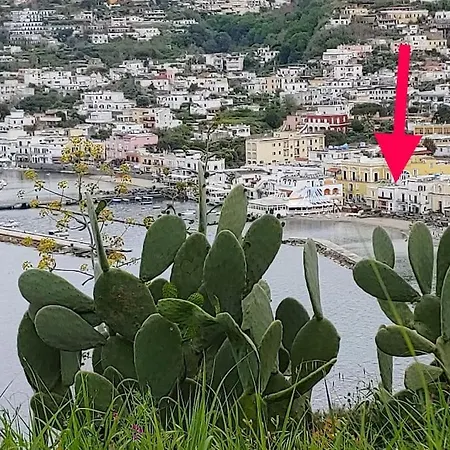 Gigi Centralissimo Ischia