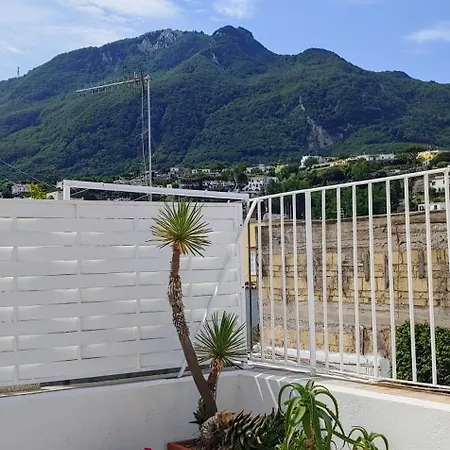 Gigi Centralissimo Ischia *